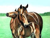 Standardbred, Equine Art - Mother's Day